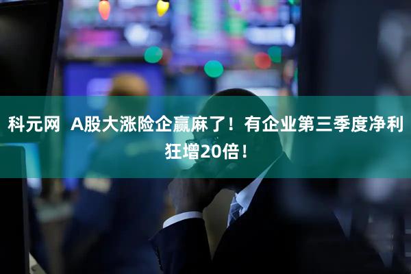 科元网  A股大涨险企赢麻了！有企业第三季度净利狂增20倍！