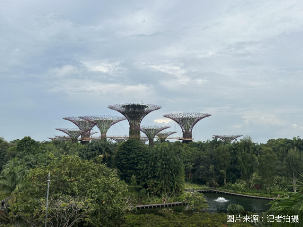 云上速配 国庆中秋假期出境游盘点：东亚、东南亚最火，拼假带动长线游