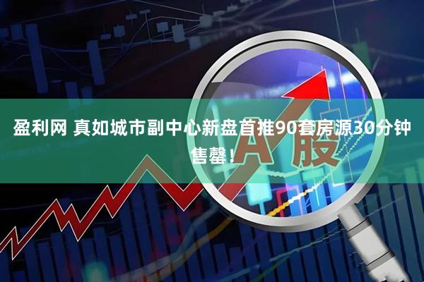 盈利网 真如城市副中心新盘首推90套房源30分钟售罄！